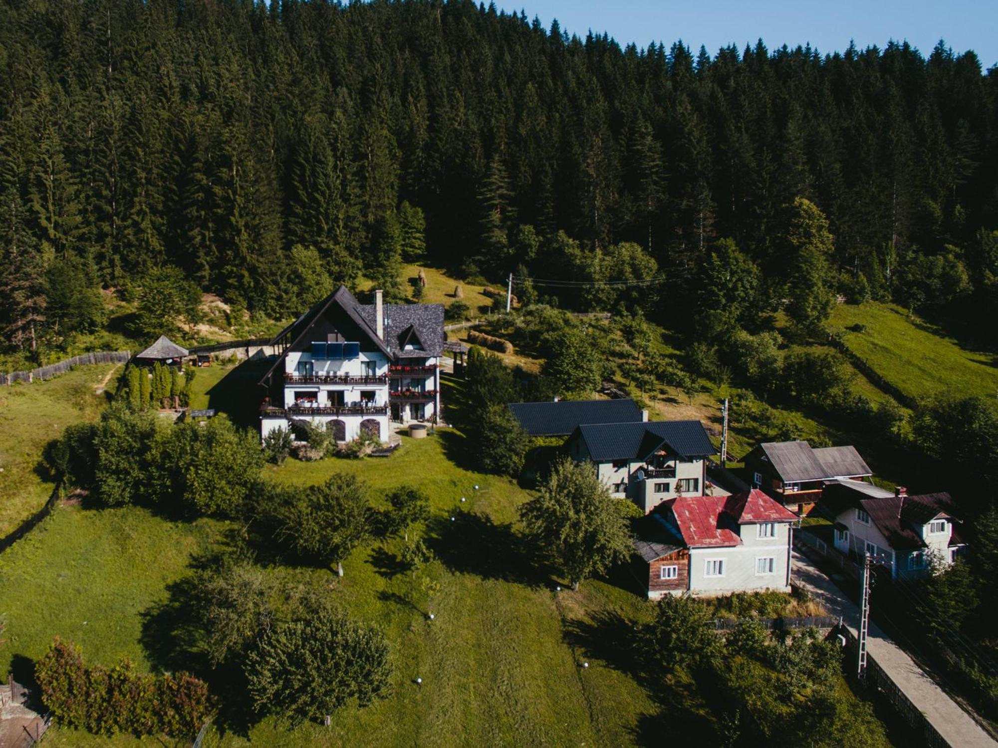 Bucovina Lodge Pension فاما المظهر الخارجي الصورة