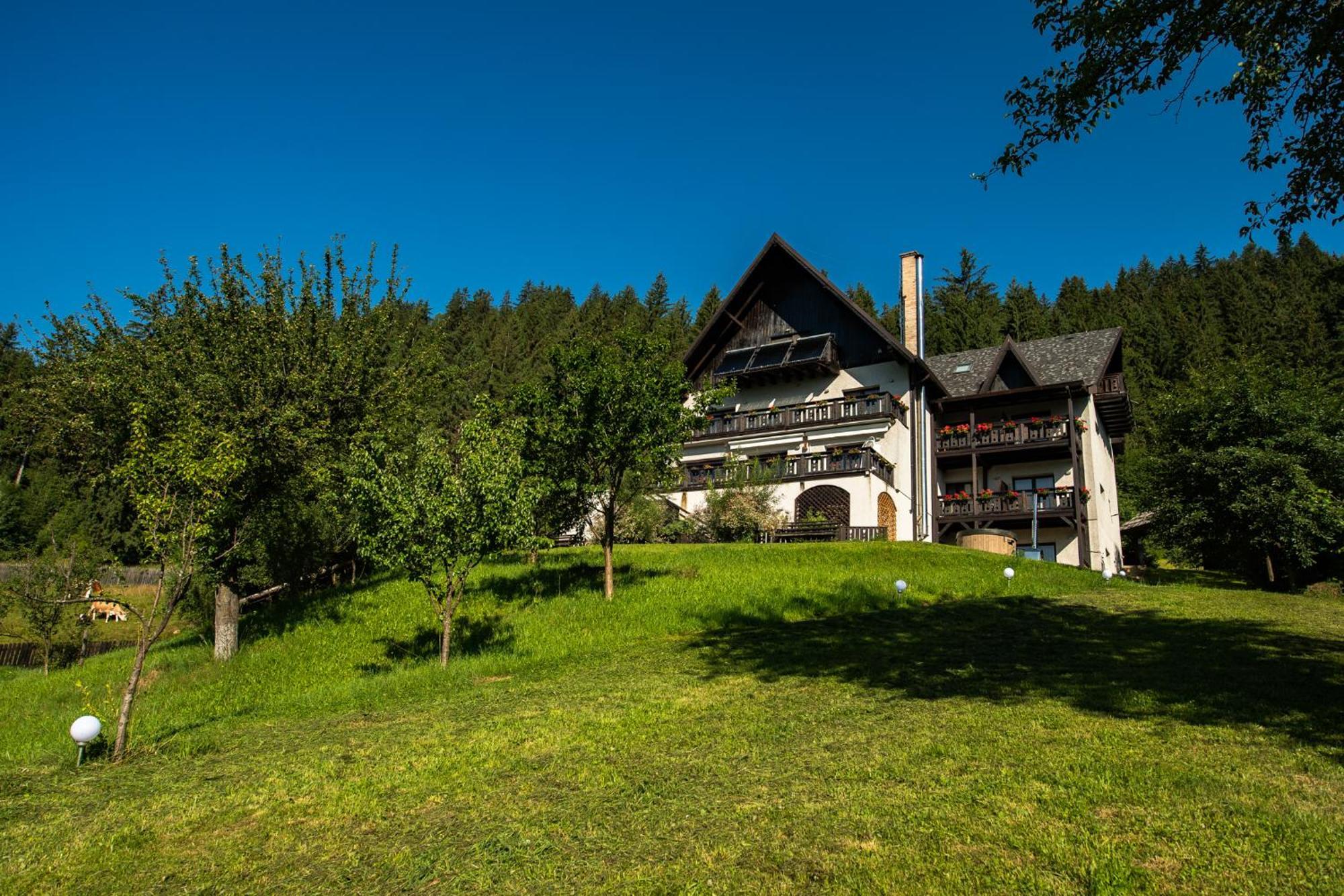 Bucovina Lodge Pension فاما المظهر الخارجي الصورة