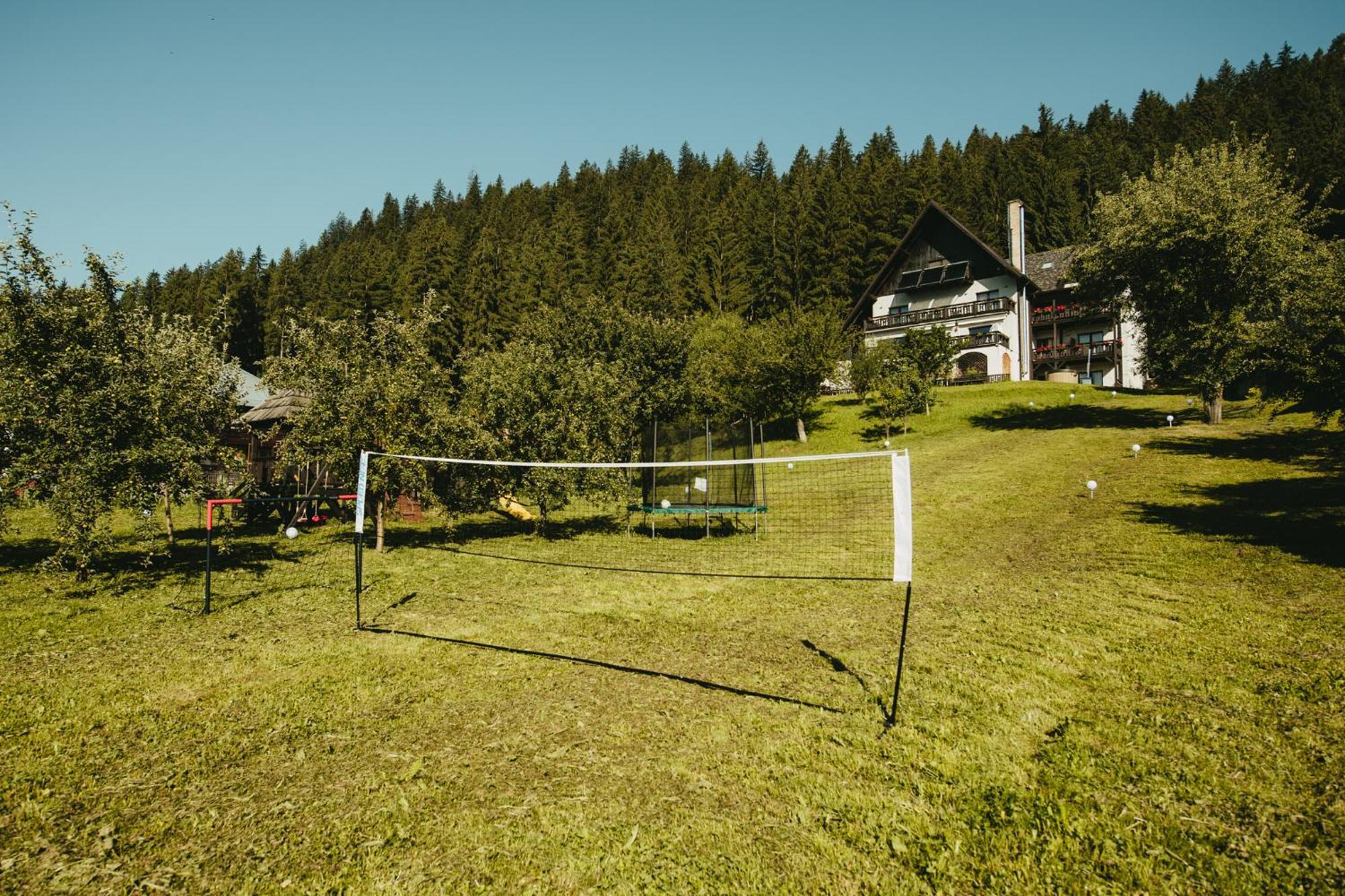 Bucovina Lodge Pension فاما المظهر الخارجي الصورة