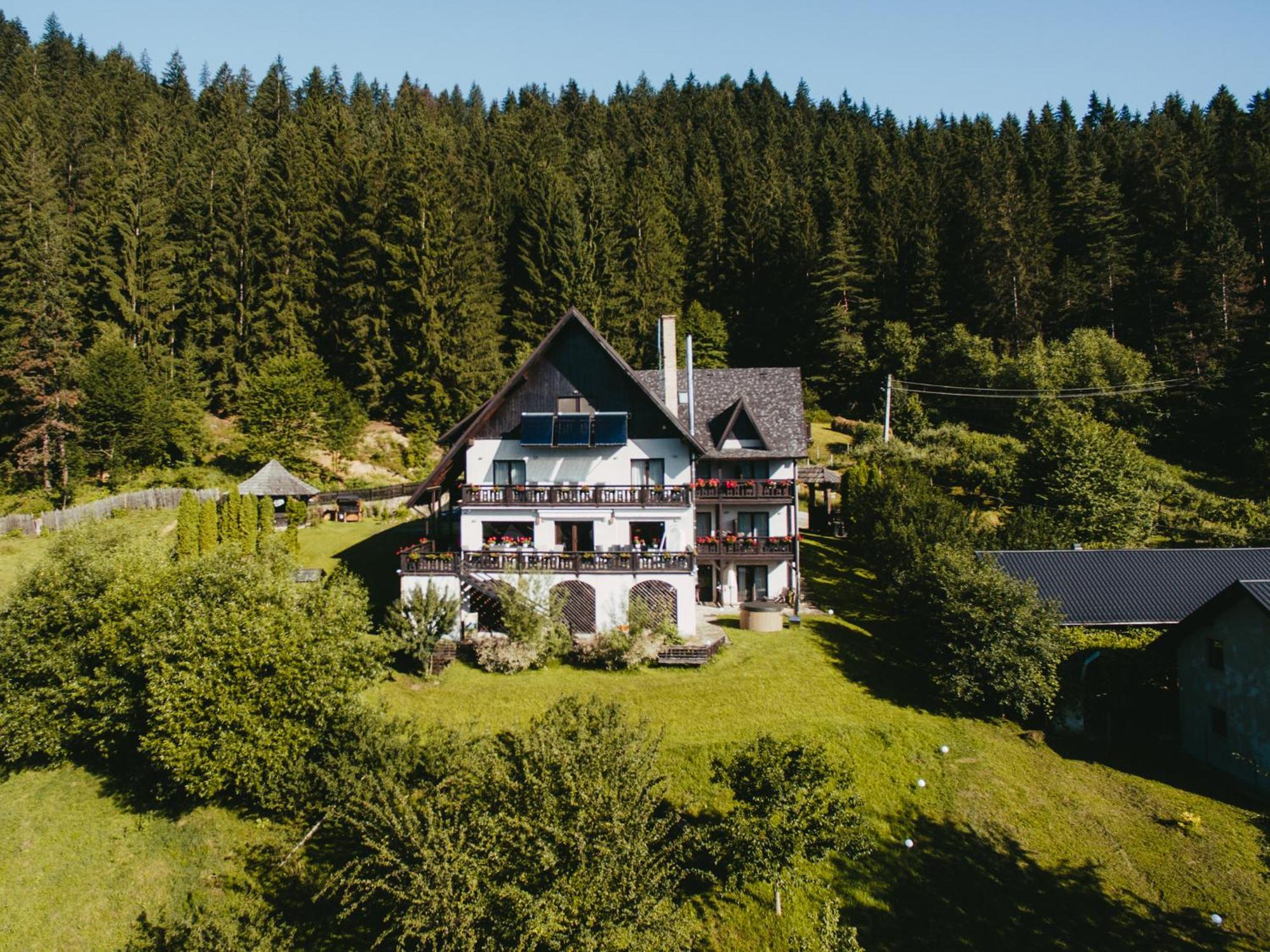 Bucovina Lodge Pension فاما المظهر الخارجي الصورة